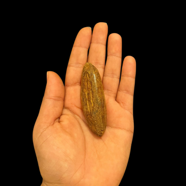 عود الفي اي بي في اليد بوكس عود VIP